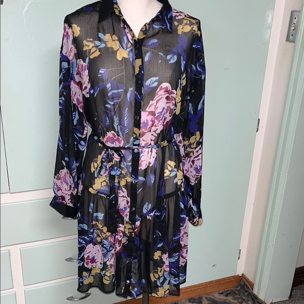 Lovestitch Floral Button-Front Black Sheer Dress with Pink & Blue Blooms Large